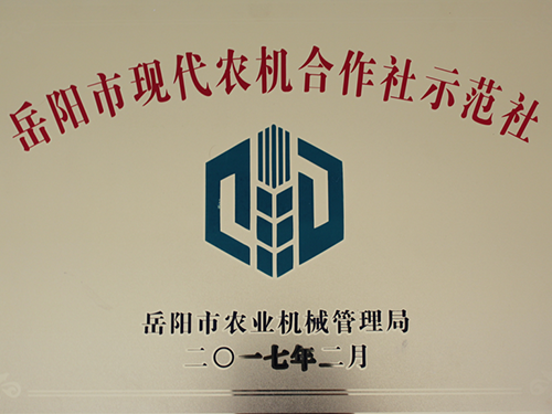 荣誉资质