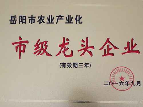 荣誉资质
