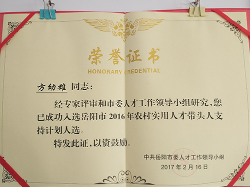 荣誉资质