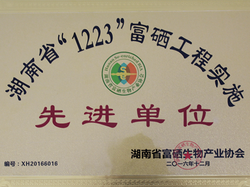 荣誉资质