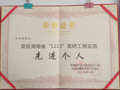 荣誉资质