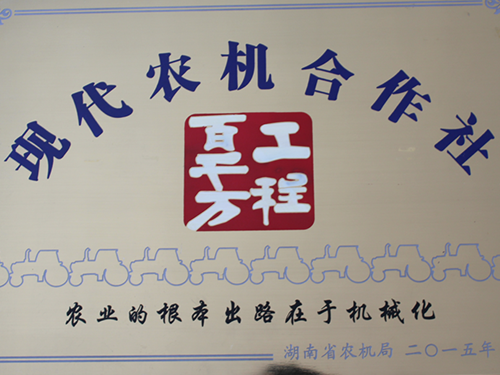 荣誉资质