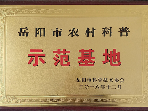 荣誉资质